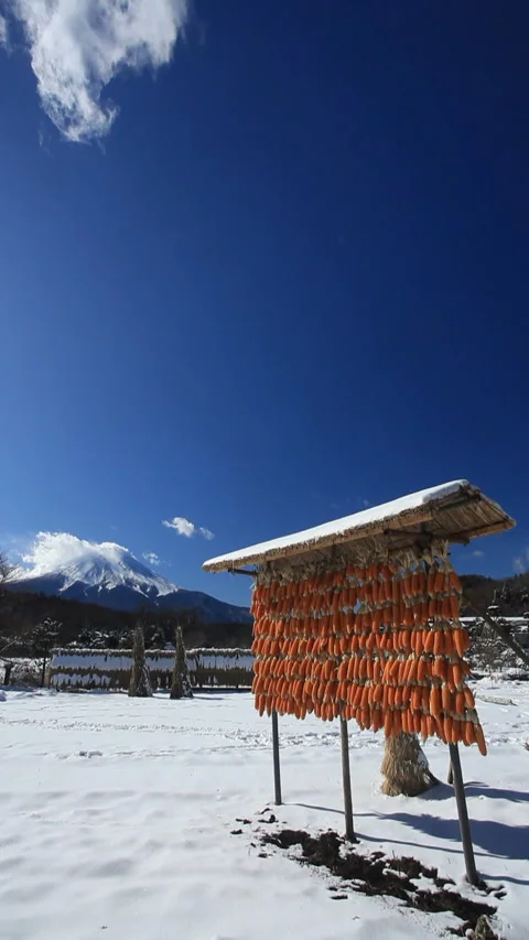 Dried Corn and Mount Fuji Stock-Footage 324965793