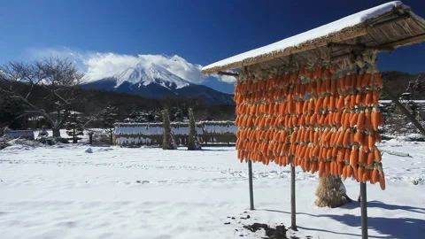 Dried Corn and Mount Fuji 스톡 동영상 330148796