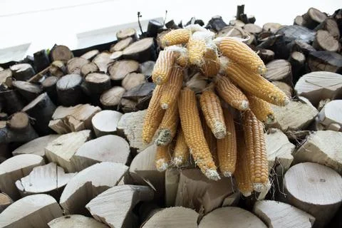Dried Corn Bundle on Split Firewood Closeup Stock Photos