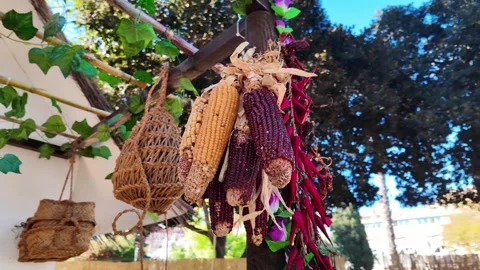 Dried Corn Cobs and Traditional Esparto Basket Hanging in Spanish Farmhouse Видео 332739434