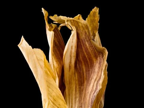 Dried corn husk Stock Photos