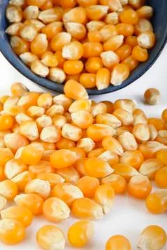 Dried corn Stock Photos