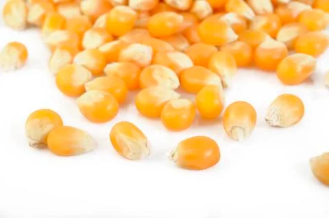 Dried corn seeds Stock Photos