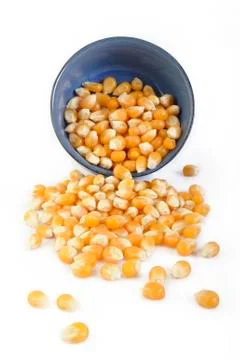 Dried corn seeds Stock Photos