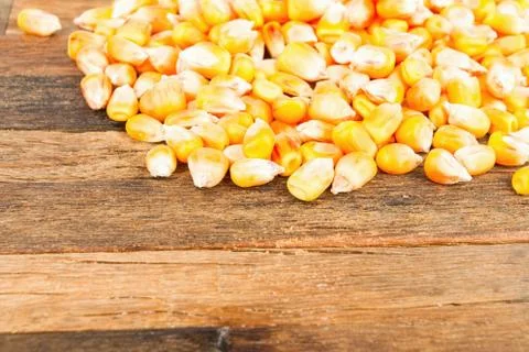 Dried corn seeds Foto stock