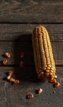 Dried corn on a wooden table texture. Head of corn. Food. Close. Yellow corn. Foto stock