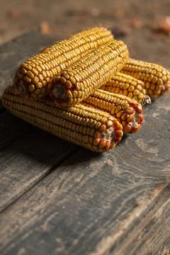 Dried corn on a wooden table texture. a bunch of corn. Food. Close. Yellow co Foto stock
