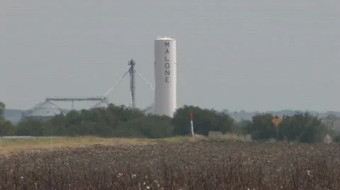  dried cotton Stock Footage 526118