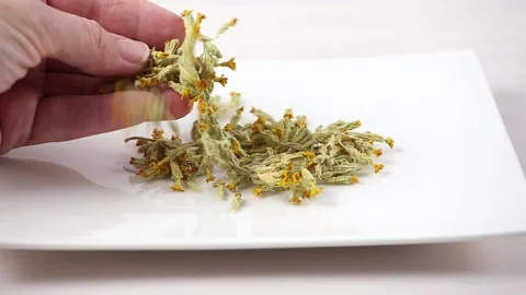 Dried cowslips blossoms, Primula veris for making herbal medicine. Stock-Footage 148091413