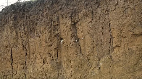 Dried, cracked clay wall showing detailed soil erosion and a rich brown texture Stock Footage 337798953