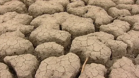 Dried Cracked Riverbed in Utah Stock Footage 93791064