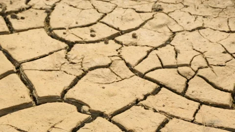 Dried cracked soil in dessert Stock Footage 96013197
