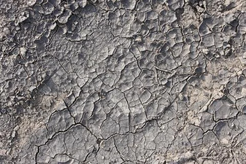 Dried cracked soil Stock Photos