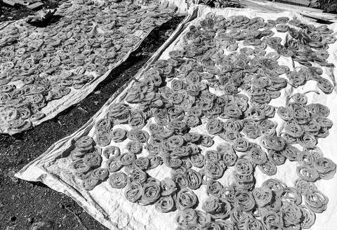 Dried crackers Stock Photos