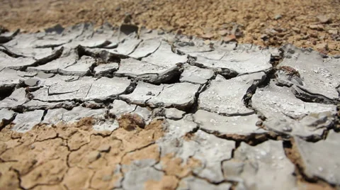 Dried Creek. Stock Footage 61436706