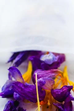 Dried Crocus flowers tea in filter teabag sachet on white background closeup Stock Photos