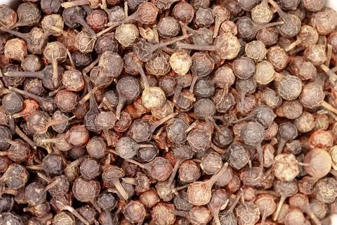 Dried cubeb pepper spice creating textured background Stock-Fotos