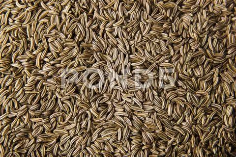 Dried cumin seeds Stock Photos