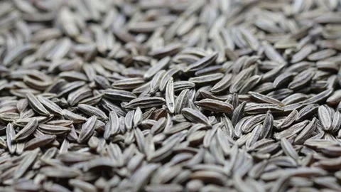 Dried cumin seeds rotate in a circle. side view Stock Footage 230041005