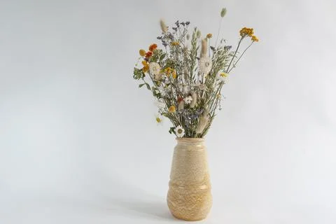 Dried cut flowers in a vase Foto stock