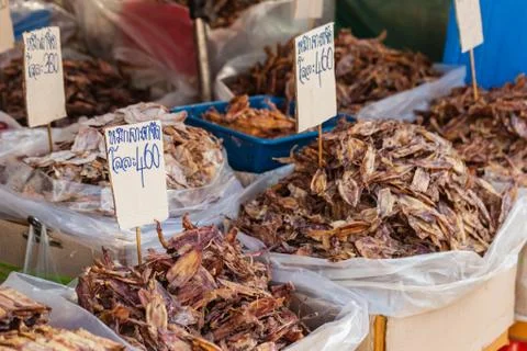 Dried cuttlefish Stock Photos
