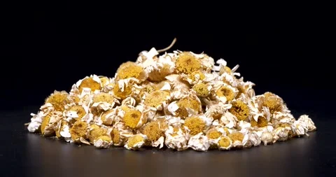 Dried Daisy Flowers Stock Footage 332036395