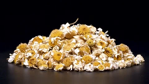Dried Daisy Flowers Stock Footage 332613563