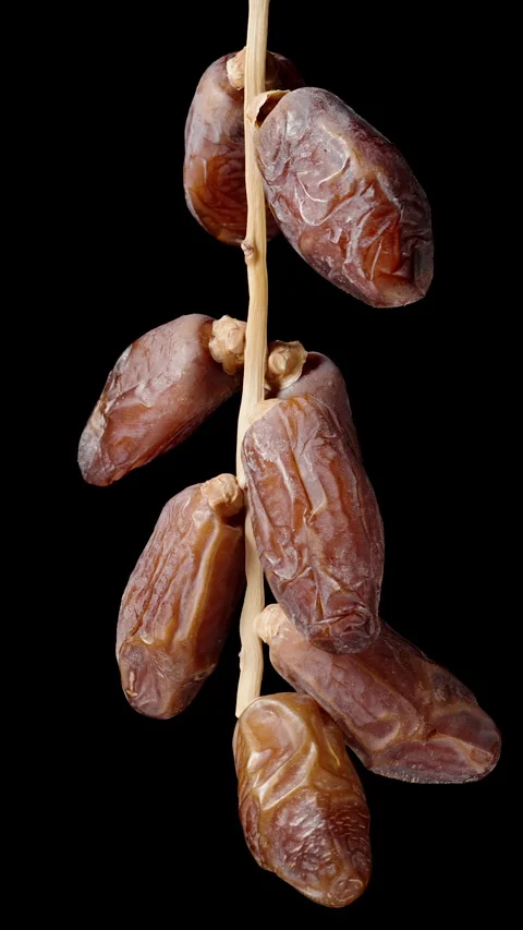 Dried dates on a branch rotating slowly, isolated on a black background. Vertica Stock Footage 244854419