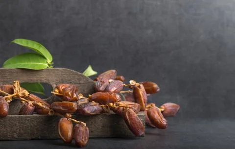 Dried dates on a grey background Stock Photos