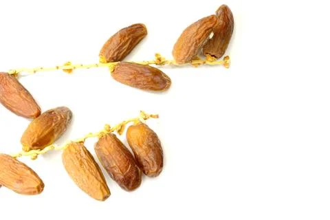 Dried dates Stock Photos