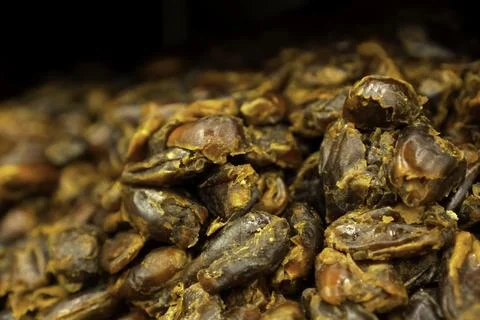 Dried dates, preparing dates for storage. Stock Photos