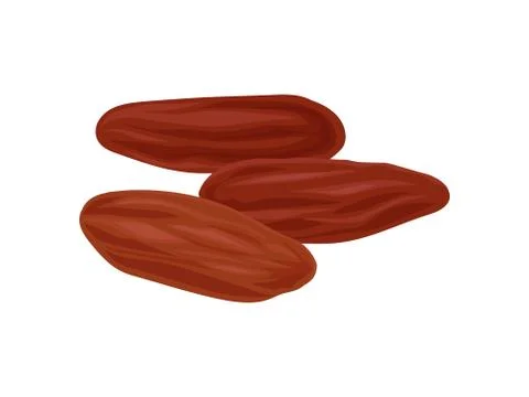 Dried dates on a white background. Realistic vector illustration. Stock Illustration