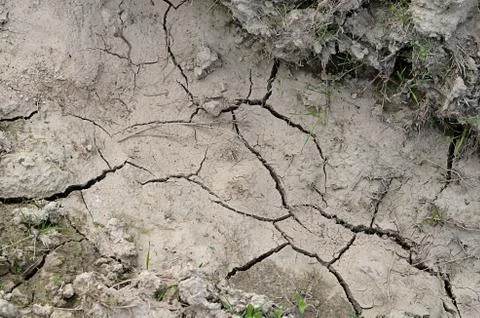 The dried-up dirt with cracks Stock Photos