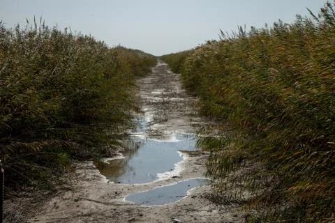 Dried ditch Stock Photos