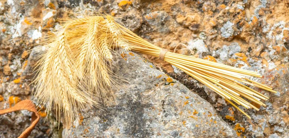 Dried ears of wheat tied in a bouquet Stock Photos