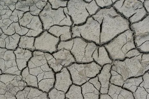 Dried earth with cracks Stock Photos