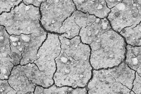 Dried earth Stock Photos