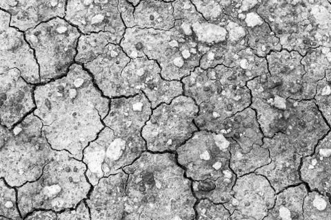 Dried earth Stock Photos