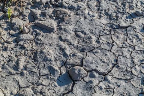 A dried up earth Foto stock