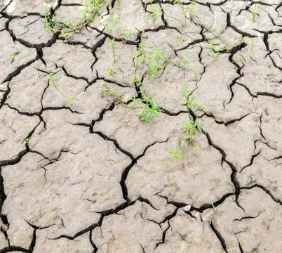 Dried earth at the river Stock Photos