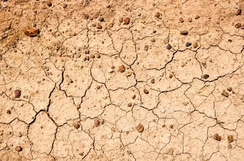 Dried earth texture Stock Photos