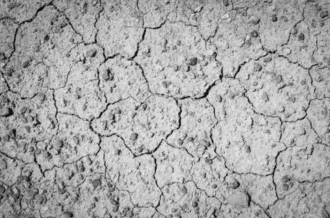 Dried earth texture Stock Photos