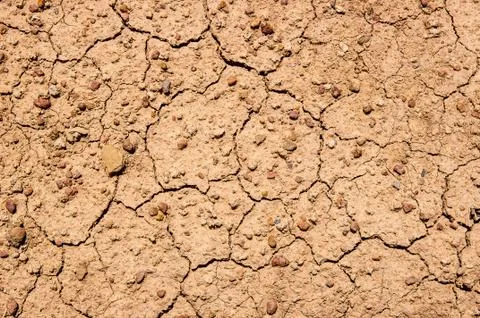 Dried earth texture Foto stock