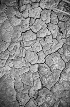 Dried earth texture Stock Photos
