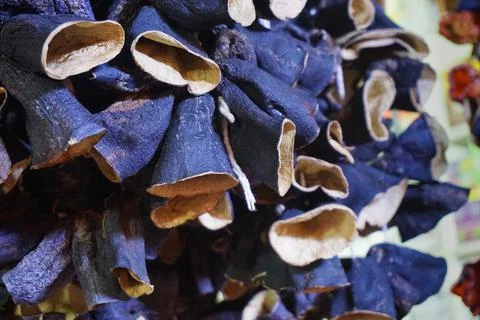 Dried eggplants Stock Photos