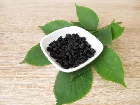 Dried elder berries Stock Photos