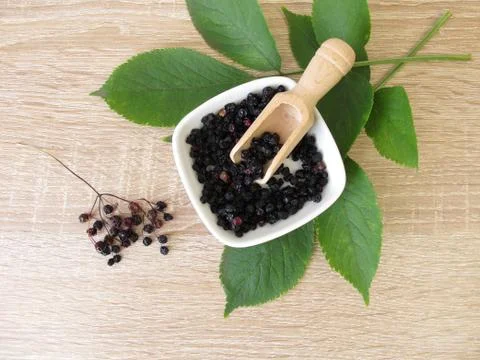 Dried elder berries Stock Photos