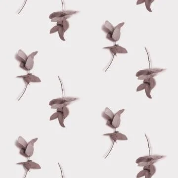 Dried eucalyptus branches. Minimalist pattern. Plant photo on beige background. Stock Photos