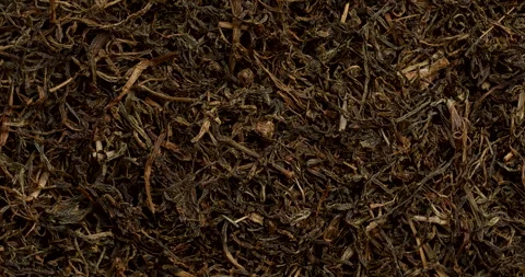 Dried Faran herb background texture. Stock Footage 303889406