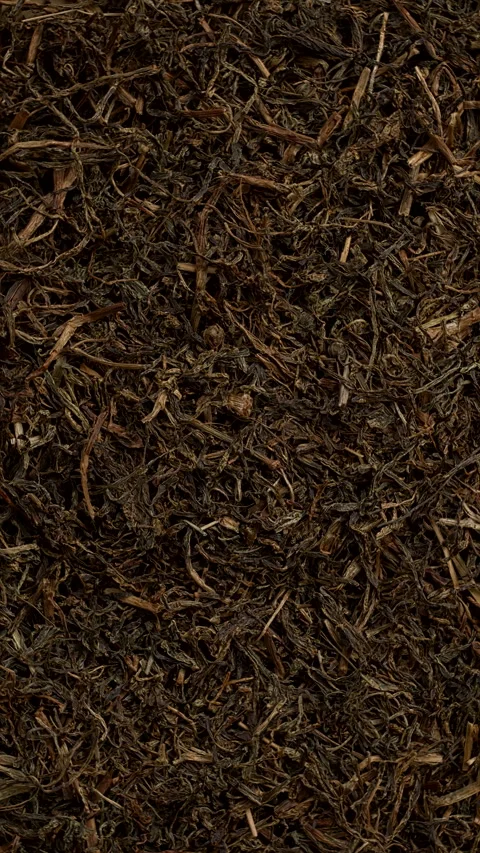 Dried Faran herb background texture. Vertical video. Video stock 303889909